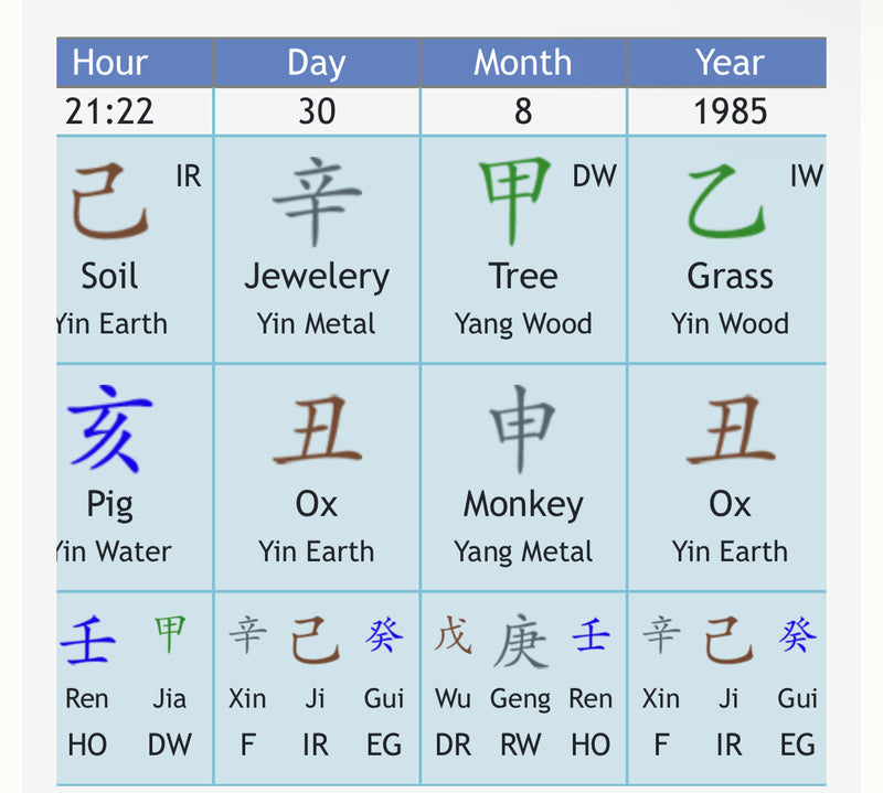 Chinese Climatic Astrology Consultation (八字)