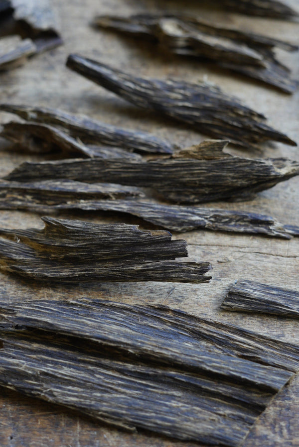 Assam Agarwood