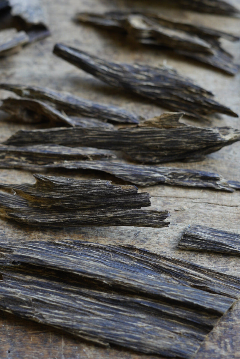 Assam Agarwood