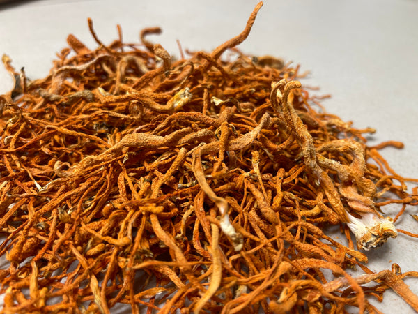 Cordyceps Fruiting Bodies (dried)