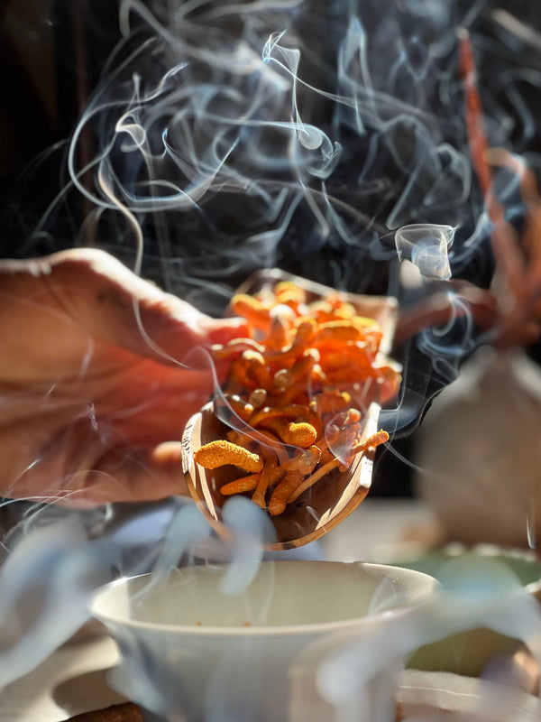 Cordyceps Fruiting Bodies (dried)