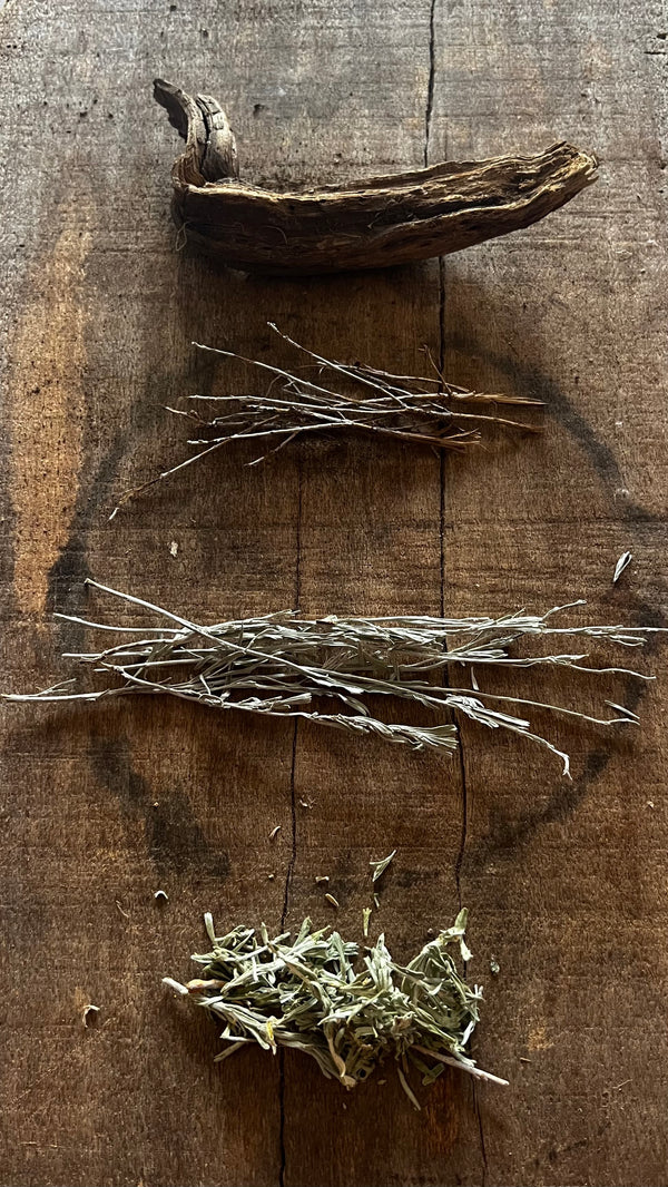 Wild California "Mugwort"