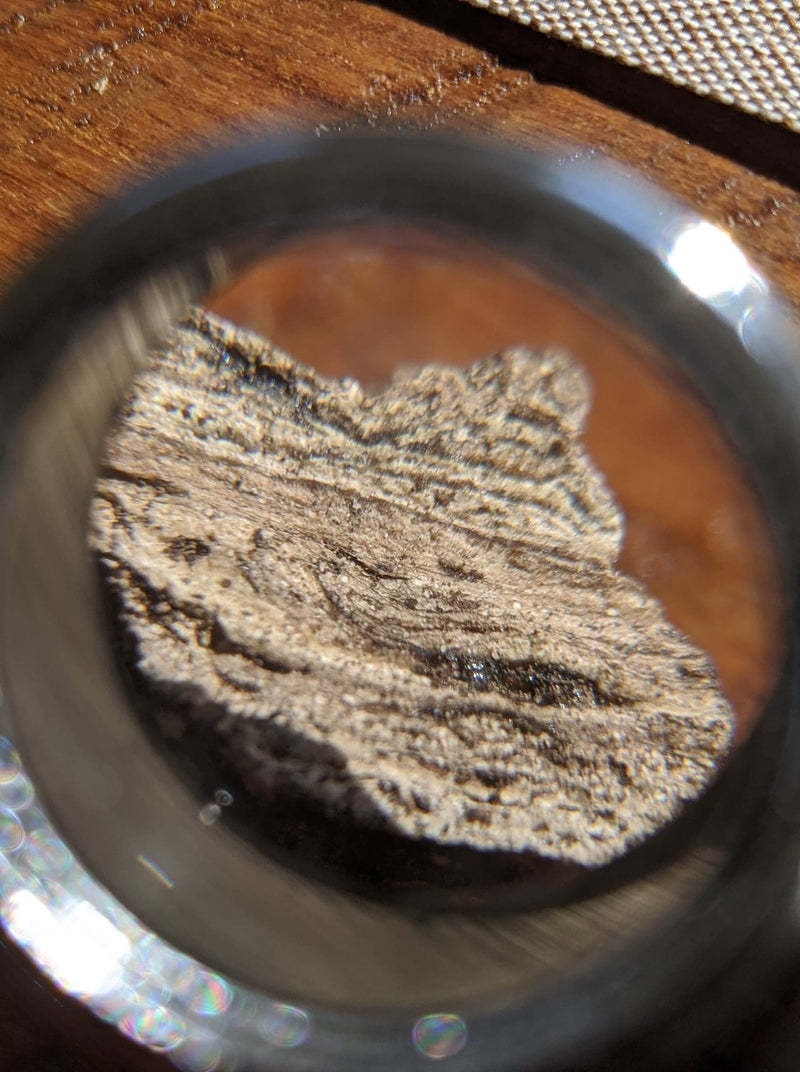 Ocean's Gold: Ambergris & Oud