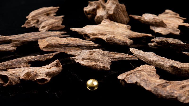 Golden Triangle Agarwood Incense Sticks